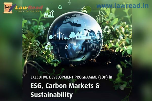 DAU starts an Executive Development Program on Sustainability, Carbon Markets, and ESG.