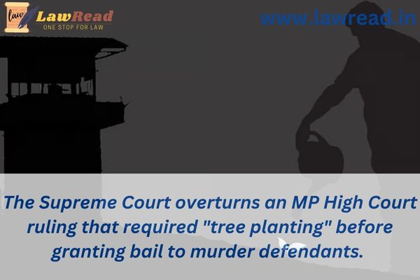 The Supreme Court overturns an MP High Court ruling that required "tree planting" before granting bail to murder defendants.