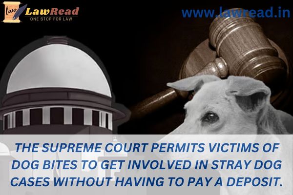 The Supreme Court permits victims of dog bites to get involved in stray dog cases without having to pay a deposit.