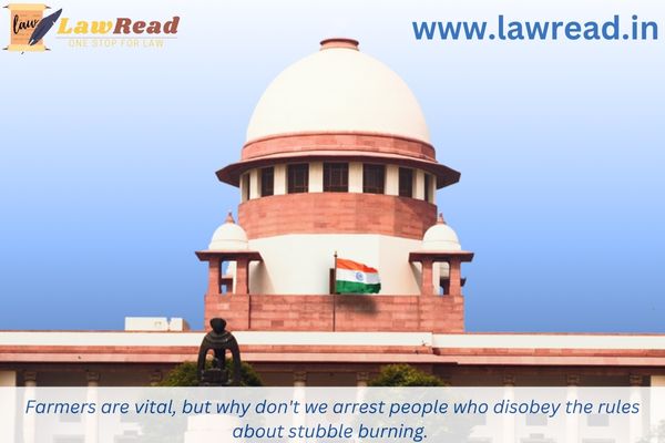 Farmers are vital, but why don't we arrest people who disobey the rules about stubble burning.