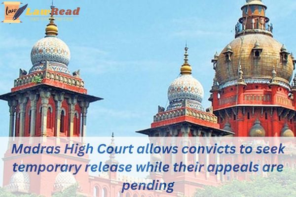 Madras High Court allows convicts to seek temporary release while their appeals are pending